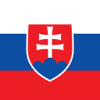 Slovak-English Dictionary - FB PUBLISHING LLC