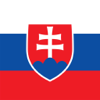 Slovak-English Dictionary - FB PUBLISHING LLC