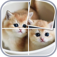 Jigsaw Puzzles - Rotate Puzzle