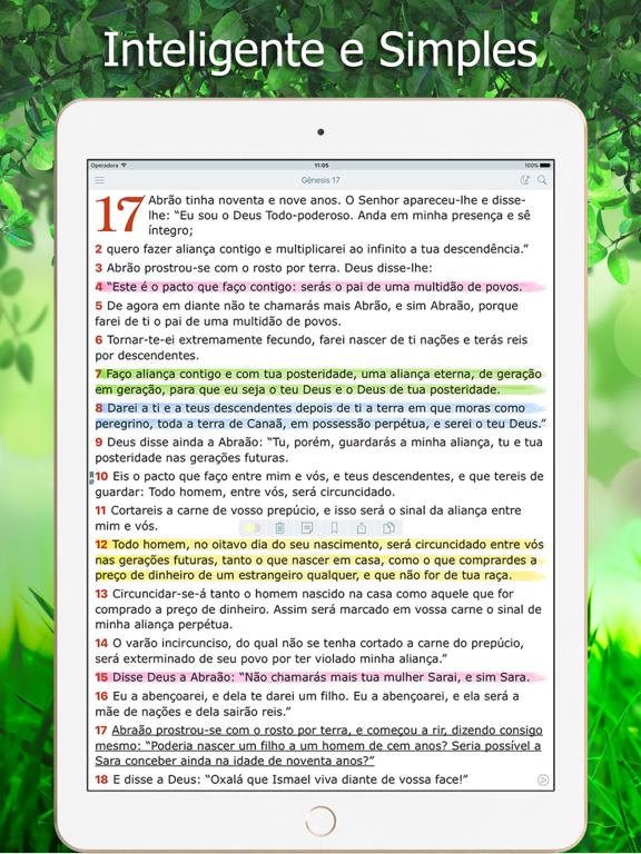 Screenshot #4 pour Bíblia Ave Maria de Estudo