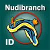 Nudibranch ID Western Atlantic contact information