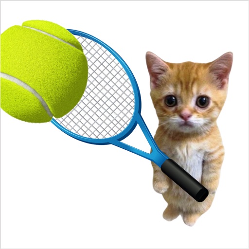 Cat Tennis Clash - 3D Tennis icon