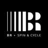 BR Spin & Cycle icon
