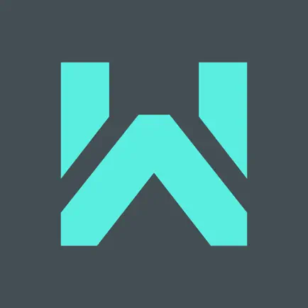WIZZO Читы