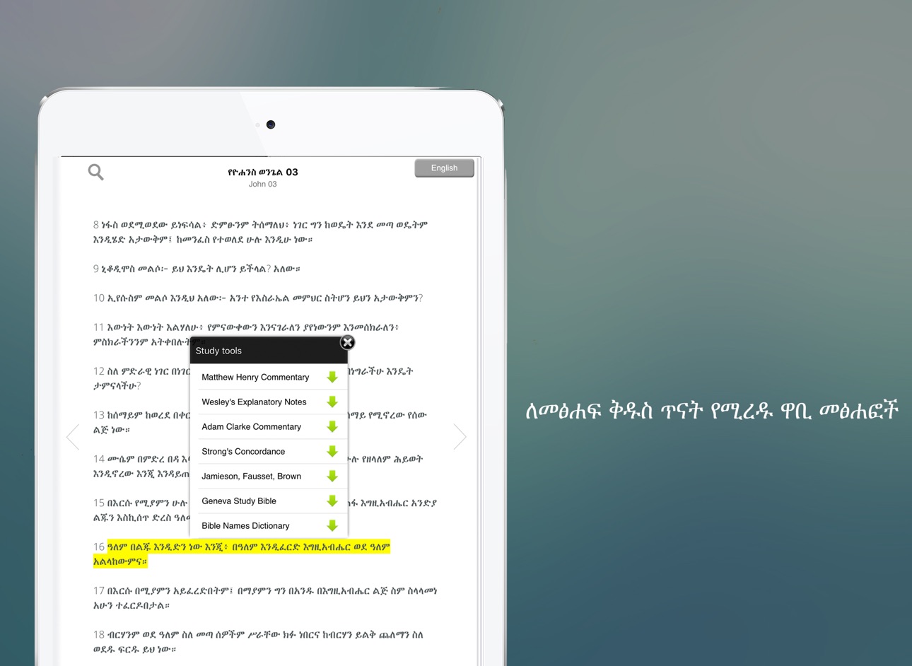 iPad screenshot
