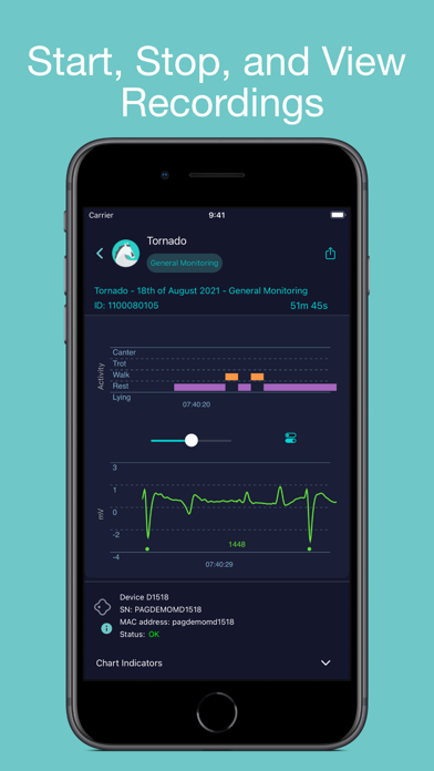 Piavet Screenshot