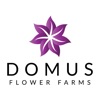 Domus Flower