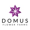 Domus Flower icon