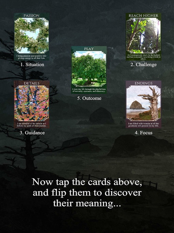 Wisdom Within Oracle Cards iPad screenshot 5 - Lifestyle app
