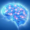 Icon Neurologie Quiz