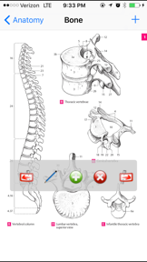 Anatomy Atlas screenshot