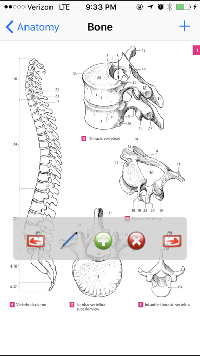 Anatomy Atlas Screenshot