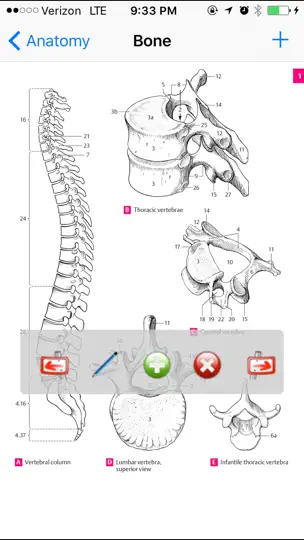Capture d'écran de Anatomy Atlas sur iPhone 1