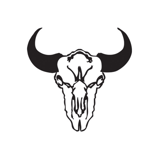 Bronze Buffalo