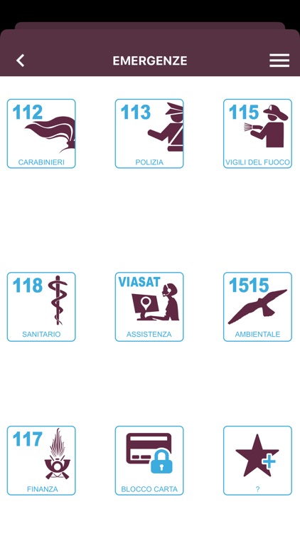 Viasat Manager Fleet