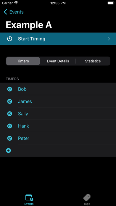 TagTime Screenshot