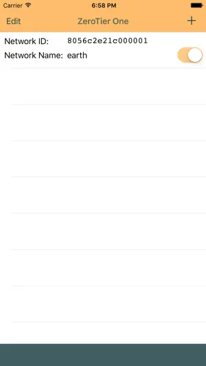 ZeroTier One screenshot 1