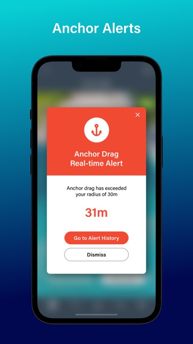 Anchor Alert Screenshot