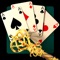 Play Klondike, FreeCell, Spider and many other kinds of solitaire