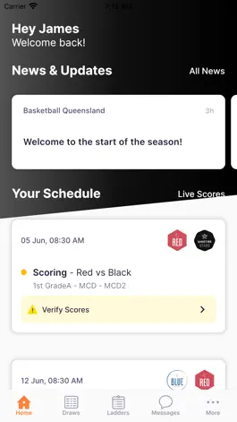 Game screenshot BasketballConnect mod apk