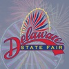 The Delaware State Fair icon