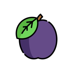 螢幕擷取畫面 (4) Plum POS Lite