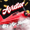 Aviator Sky Air Hunter icon