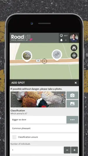 Roadkill | SPOTTERON screenshot 2