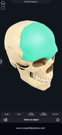 Game screenshot My Skull Anatomy apk