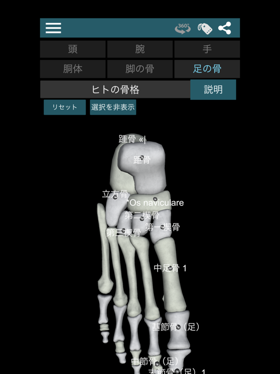3D人骨（解剖学）のおすすめ画像6