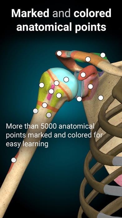 Anatomy Learning - 3D Anatomy Screenshot