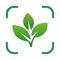 Icon The Plant Identification App