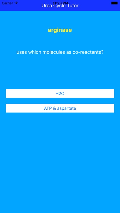 Urea Cycle Tutor