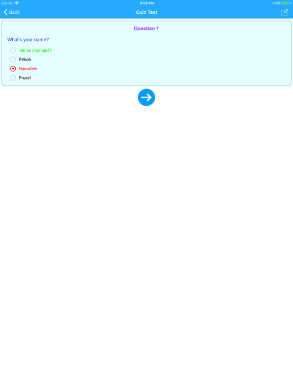 Learn Czech Easy Offline iPad screenshot 4 - Education app