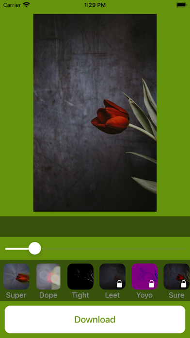 Perfect Wallpapers Flowers HD Screenshot