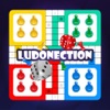 Ludonection Pro icon