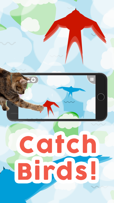 Games for Cats! Screenshot