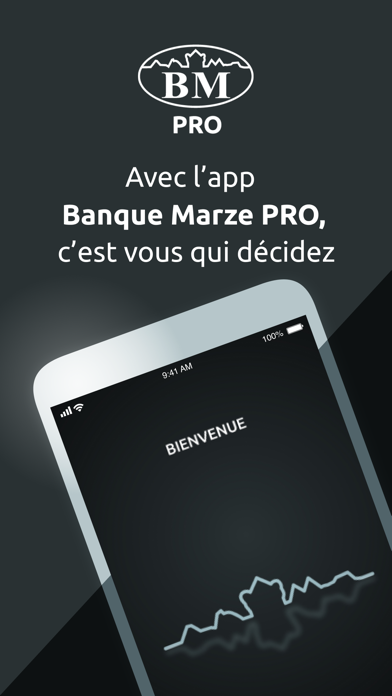 Banque Marze Pro Screenshot