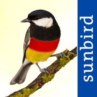 All Birds Germany logo