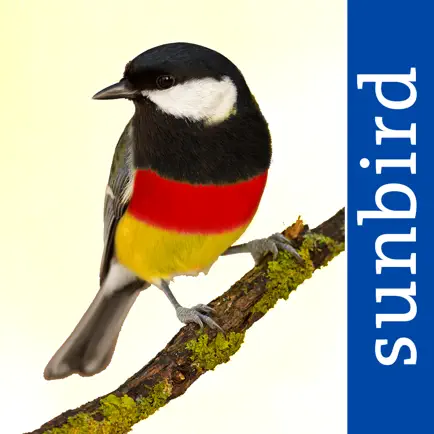 All Birds Germany Cheats