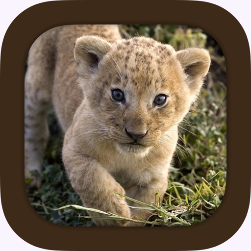 Animal Sounds.! iOS App