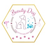 Download Beauty Dog app
