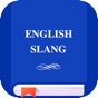 English Slang Dictionary app download