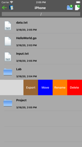 Go Programming Compiler screenshot