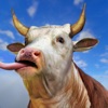 Icon Scary Cow Simulator: Payday 3D