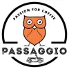 Passaggio problems & troubleshooting and solutions