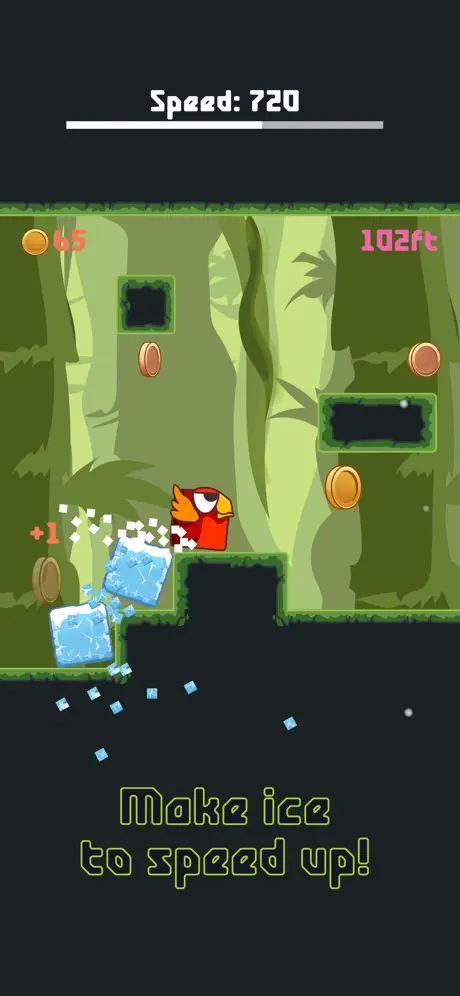 Bird Watch Game: learn to flap