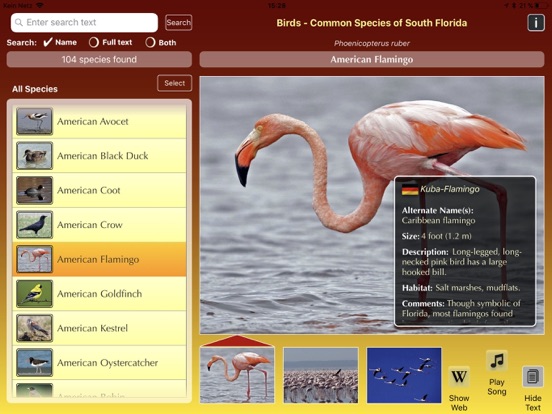 Screenshot #6 pour Birds of South Florida
