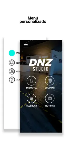 Game screenshot DNZ Studio apk