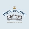 Pride of Cows